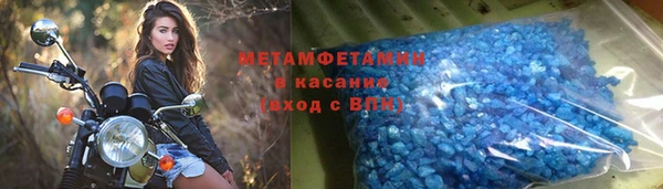 прущие грибы Верея