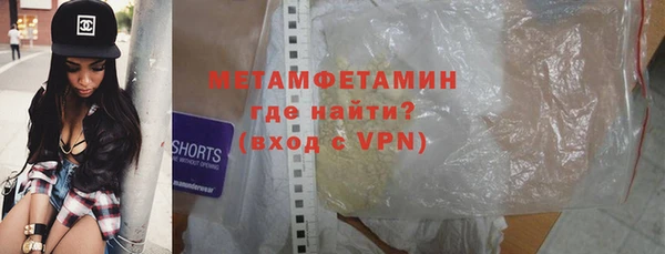 прущие грибы Верея