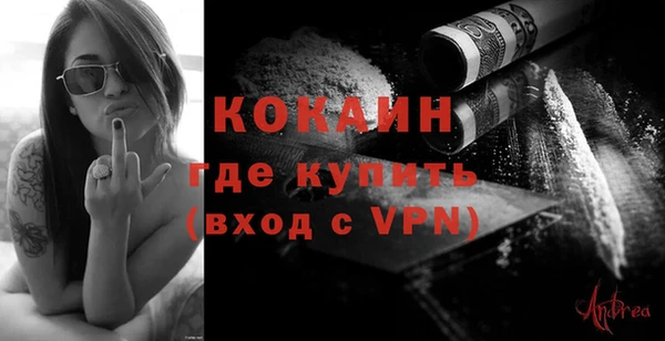 гидра Бородино
