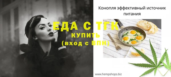 гидра Бородино