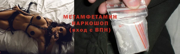 гидра Бородино