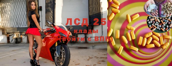 прущие грибы Верея