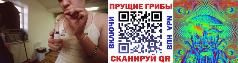 Галлюциногенные грибы Psilocybe  Володарск 