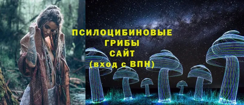 сколько стоит  omg ССЫЛКА  Галлюциногенные грибы Cubensis  Володарск 